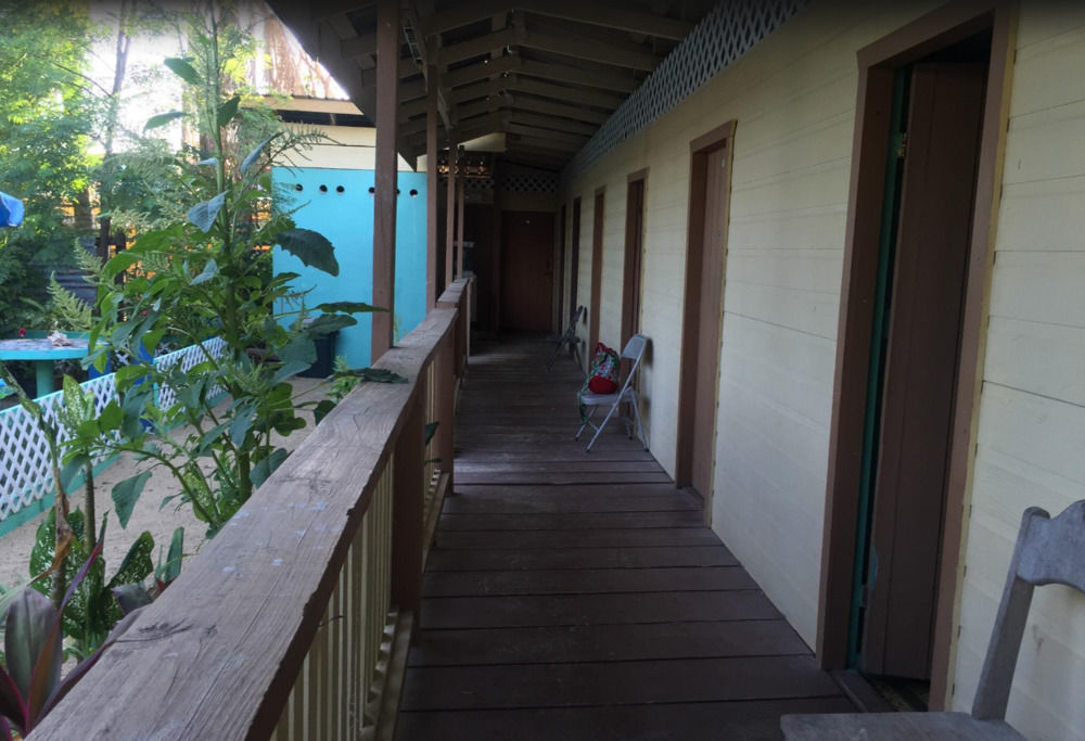 Chaleanor Hotel Dangriga Dış mekan fotoğraf